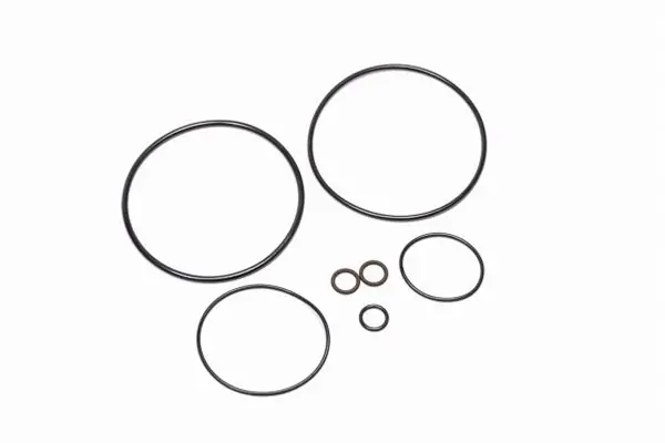 AOS-R O-Ring Service Kit Radium Engineering Najlepsza cena
